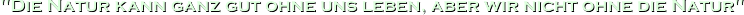 Fusstext